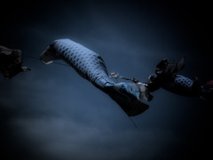 a Carp streamer