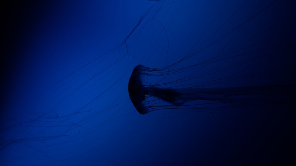 Exprolation:00001