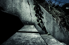 A certain scenery069