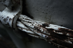Sight on rainy day_054