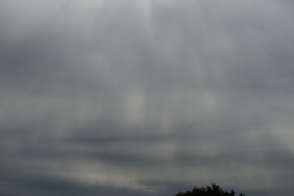2411 曇り空