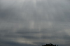 2411 曇り空