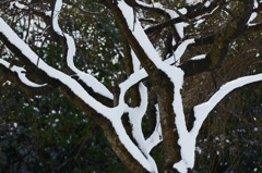 6306m 雪