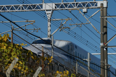 2255t
