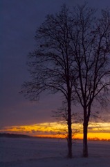 吹雪の後の夕焼け in Wisconsin (4)