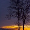 吹雪の後の夕焼け in Wisconsin (4)