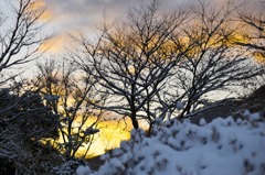 雪化粧の夜明け