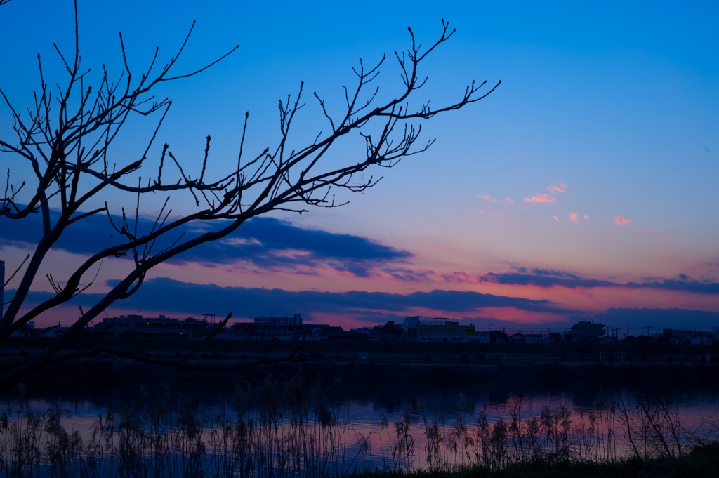 多摩川夕景（ガス橋近くより）４