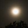 おぼろ月夜