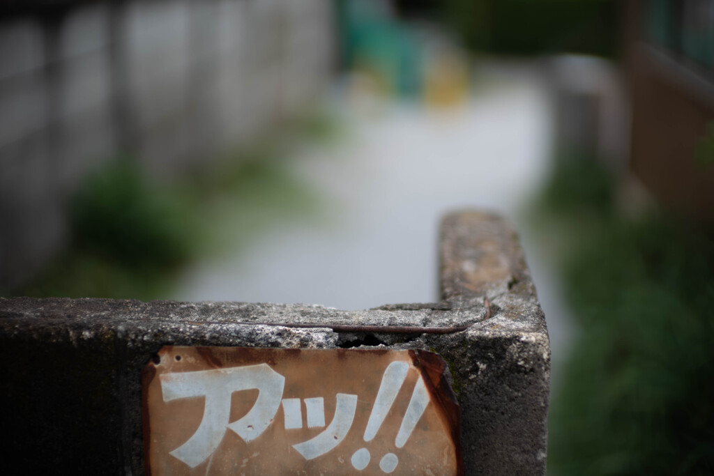 梅雨の合間に0.95 試し撮り