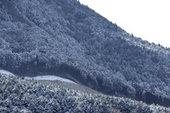 仙石原雪景色
