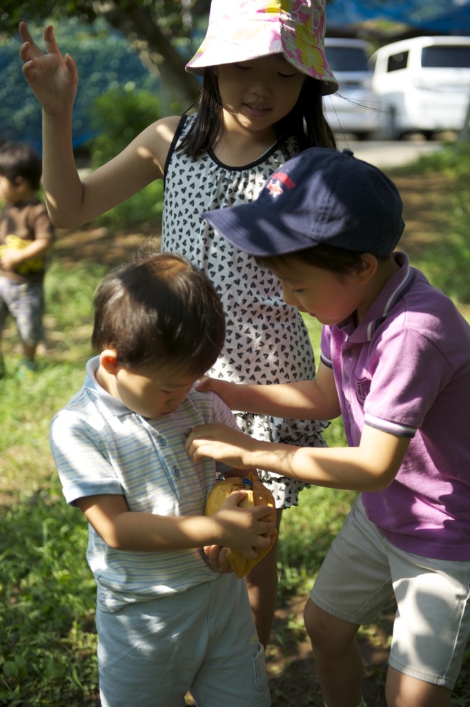 夏の思い出