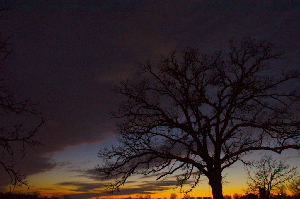 吹雪の後の夕焼け in Wisconsin (5)