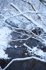 仙石原　清流　雪化粧