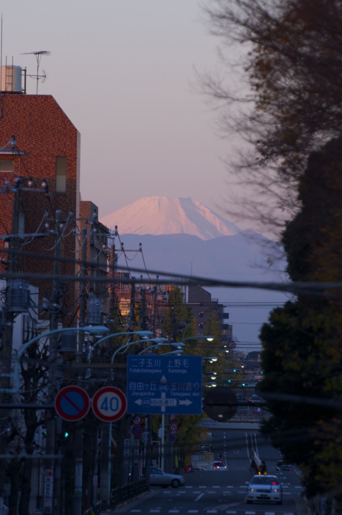 DSC_0007