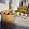 もちつき