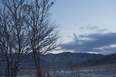 仙石原雪景色