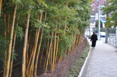 根津美術館前