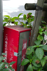 封