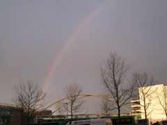 虹＠UK