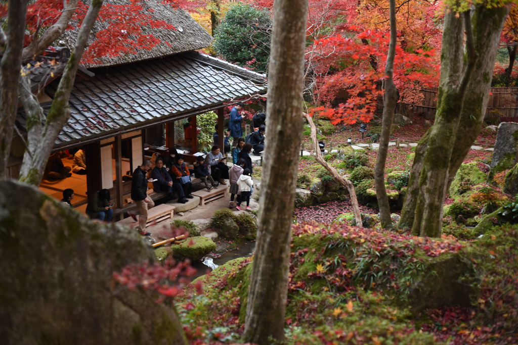 紅葉の庵