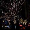 神戸モザイクファンタジー クリスマス