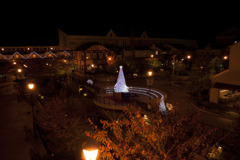 クリスマス