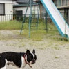 乗ろうよ