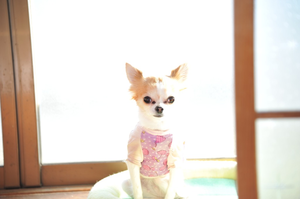 おはよう