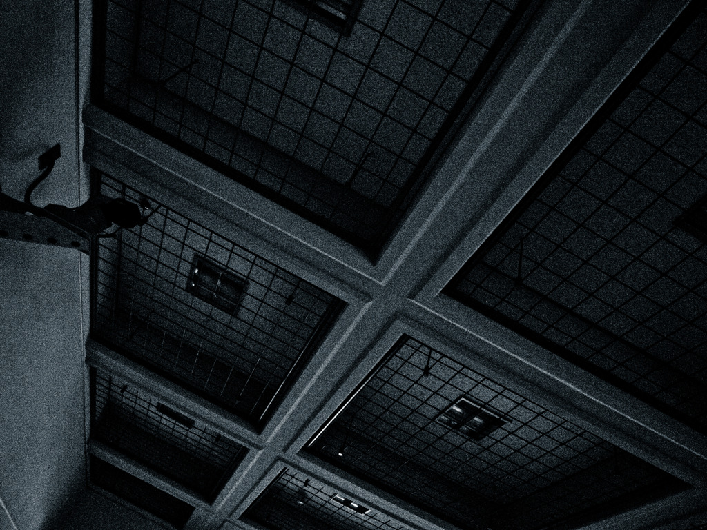 photo1203046