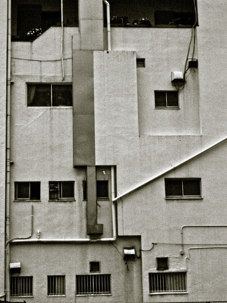 photo1203028