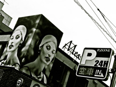 photo1203026