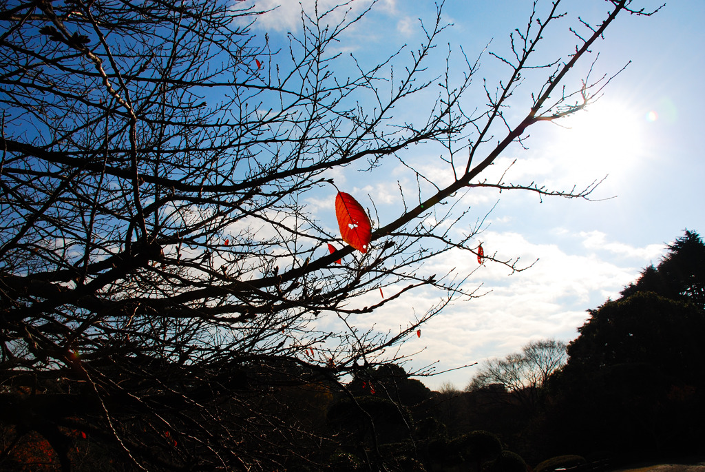 ラストサムライ