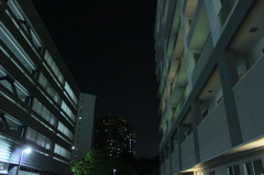 静