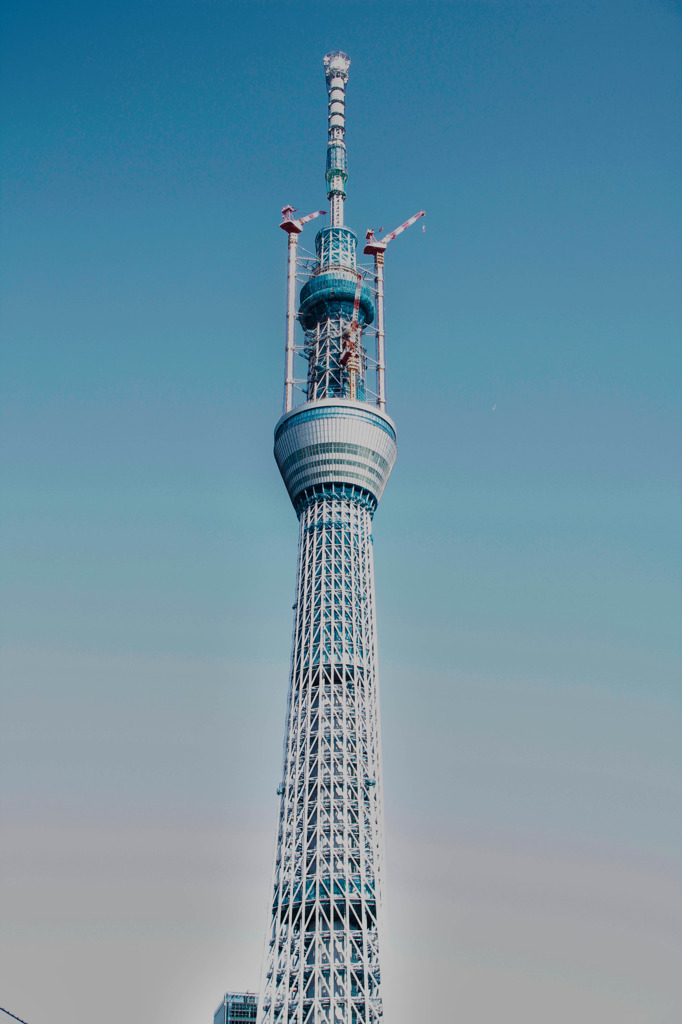 スカイツリー