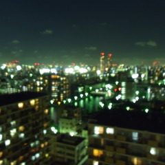 RIMG0008