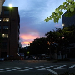 RIMG0174