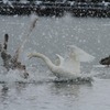 2011-01-21 08-36-27 