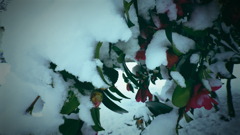 雪