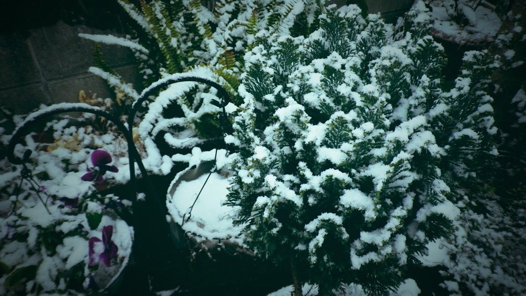 雪