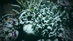 雪