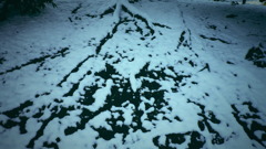 地面