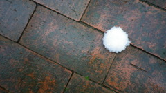 丸い雪