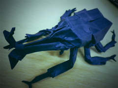 カブトムシ
