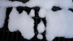 雪