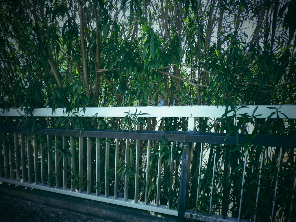 歩道橋