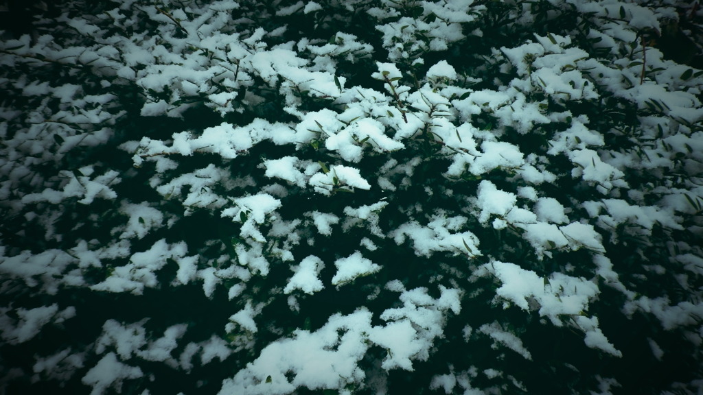 雪