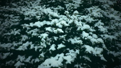 雪