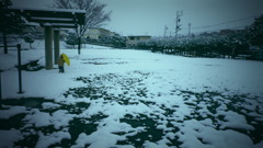 公園