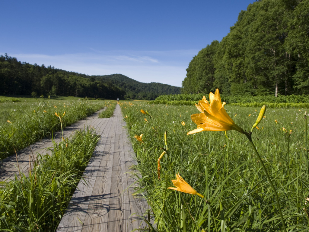 尾瀬2010夏_20100721_074510
